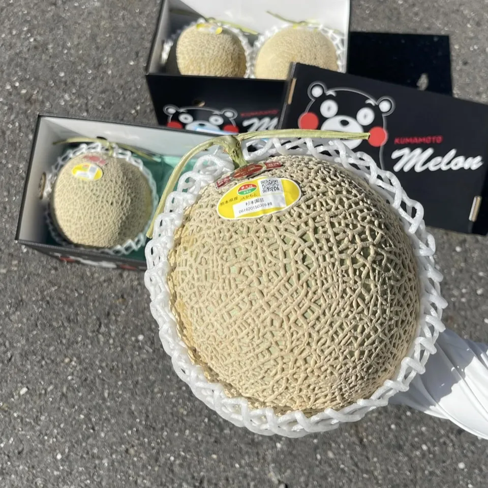 熊本縣夢大地 赤肉哈密瓜