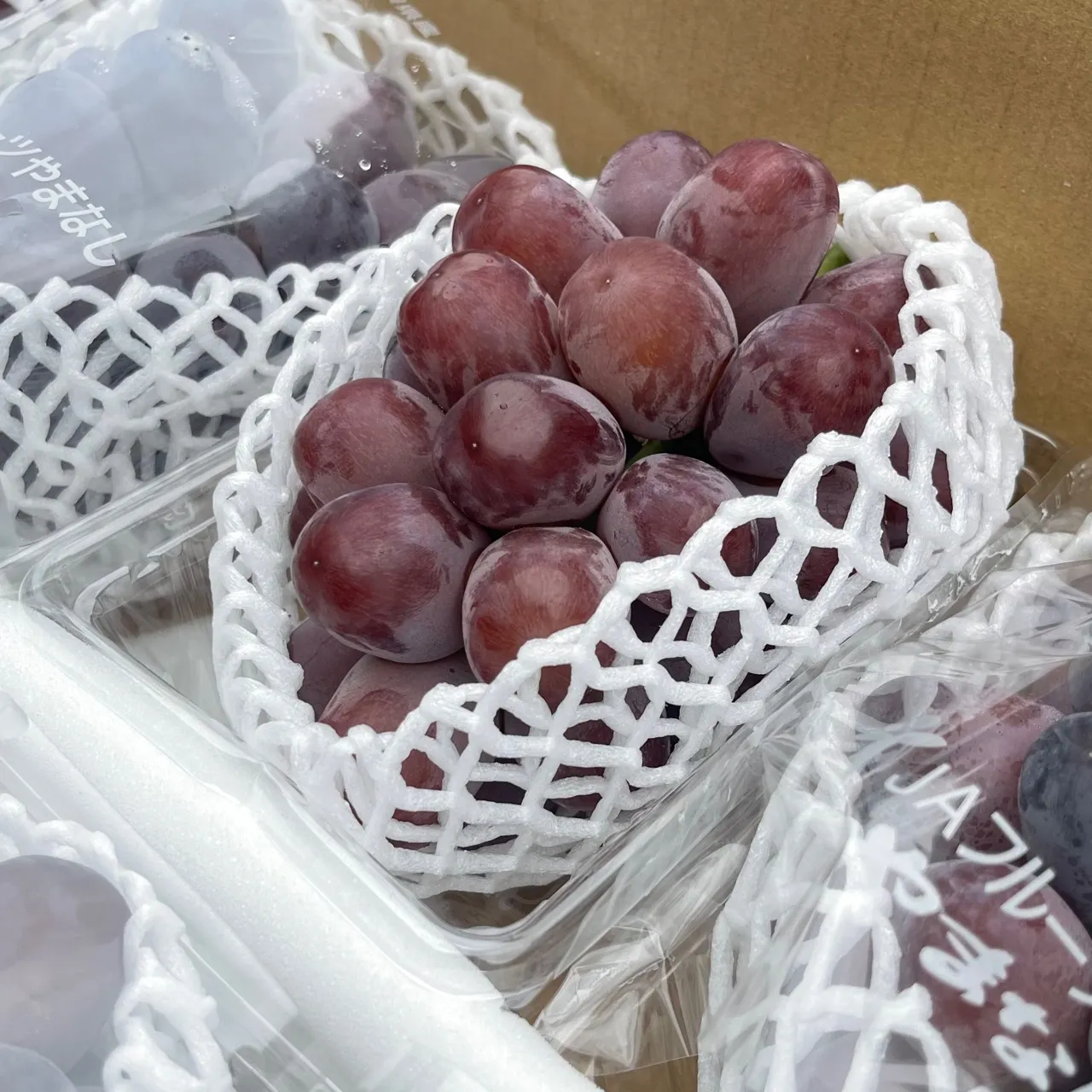 山梨 富士の輝黑葡萄 PE盒