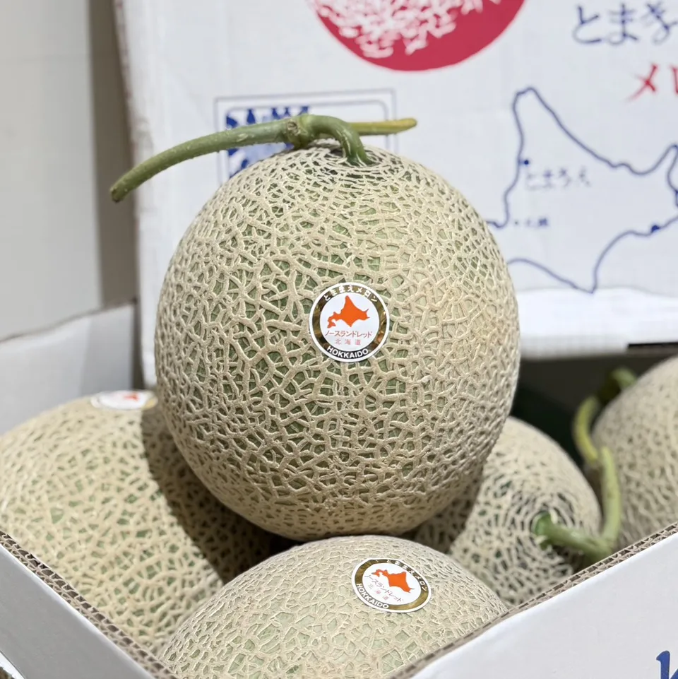 北海道苫前町赤肉哈密瓜