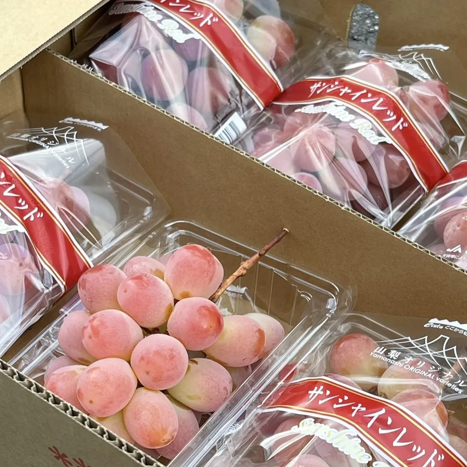 山梨縣陽光紅麝香葡萄PE盒