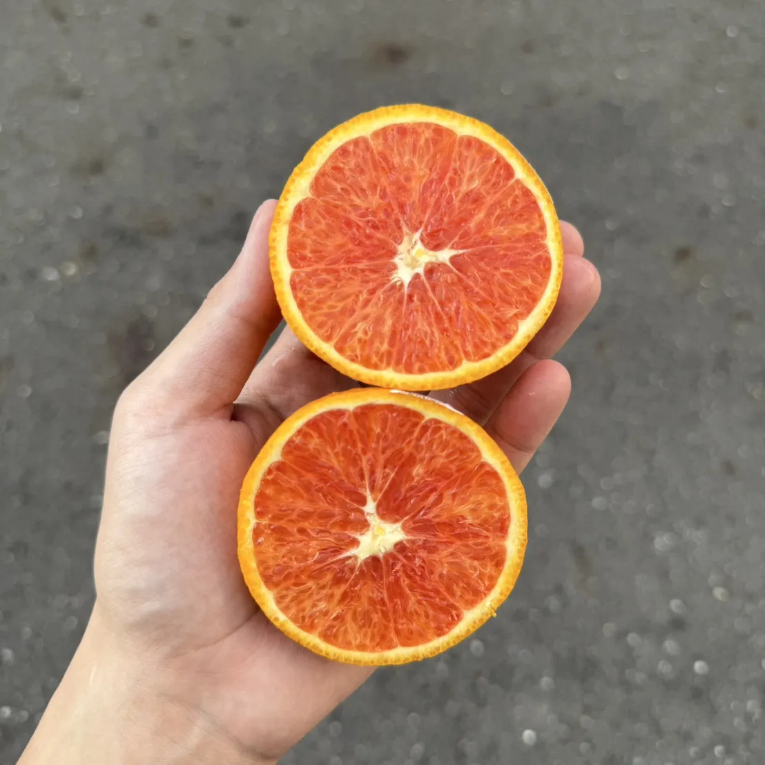 澳洲卡拉卡拉血橙