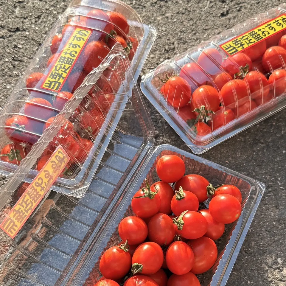 台灣薄皮玉女小番茄