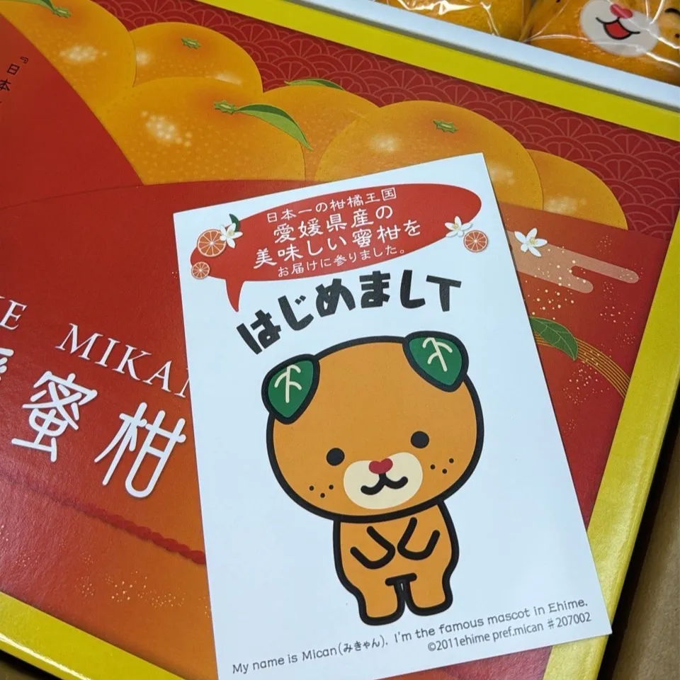 愛媛縣 狗狗蜜柑禮盒