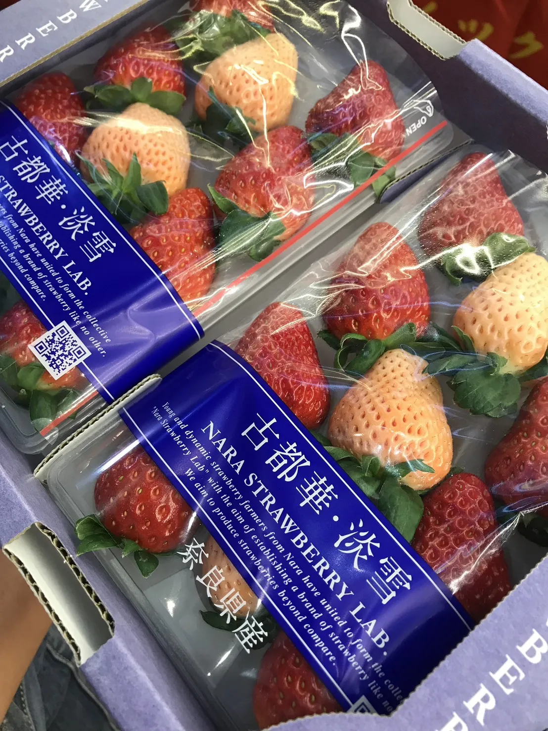 日本 奈良縣雙色草莓(古都華+淡雪)