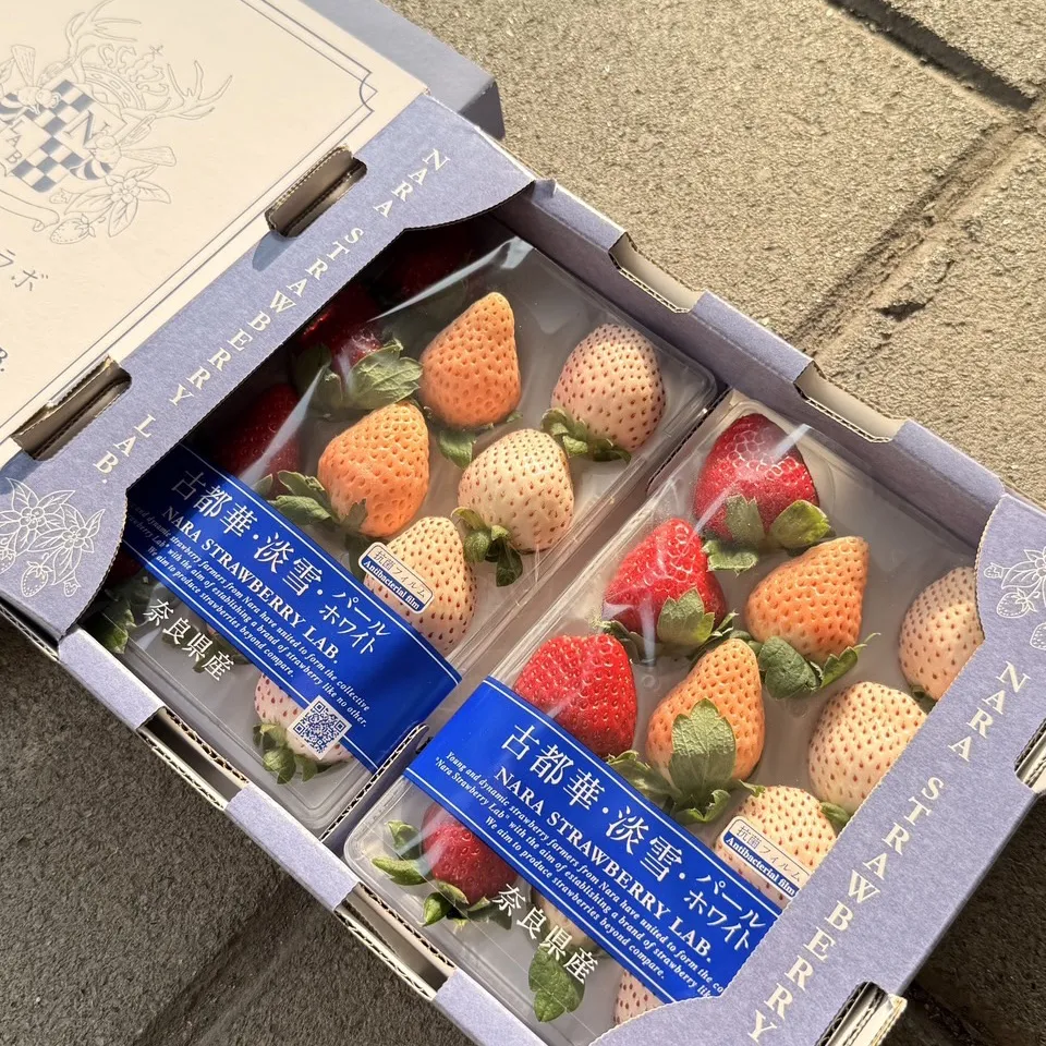 日本 奈良縣三色草莓(古都華+淡雪+白珍珠)