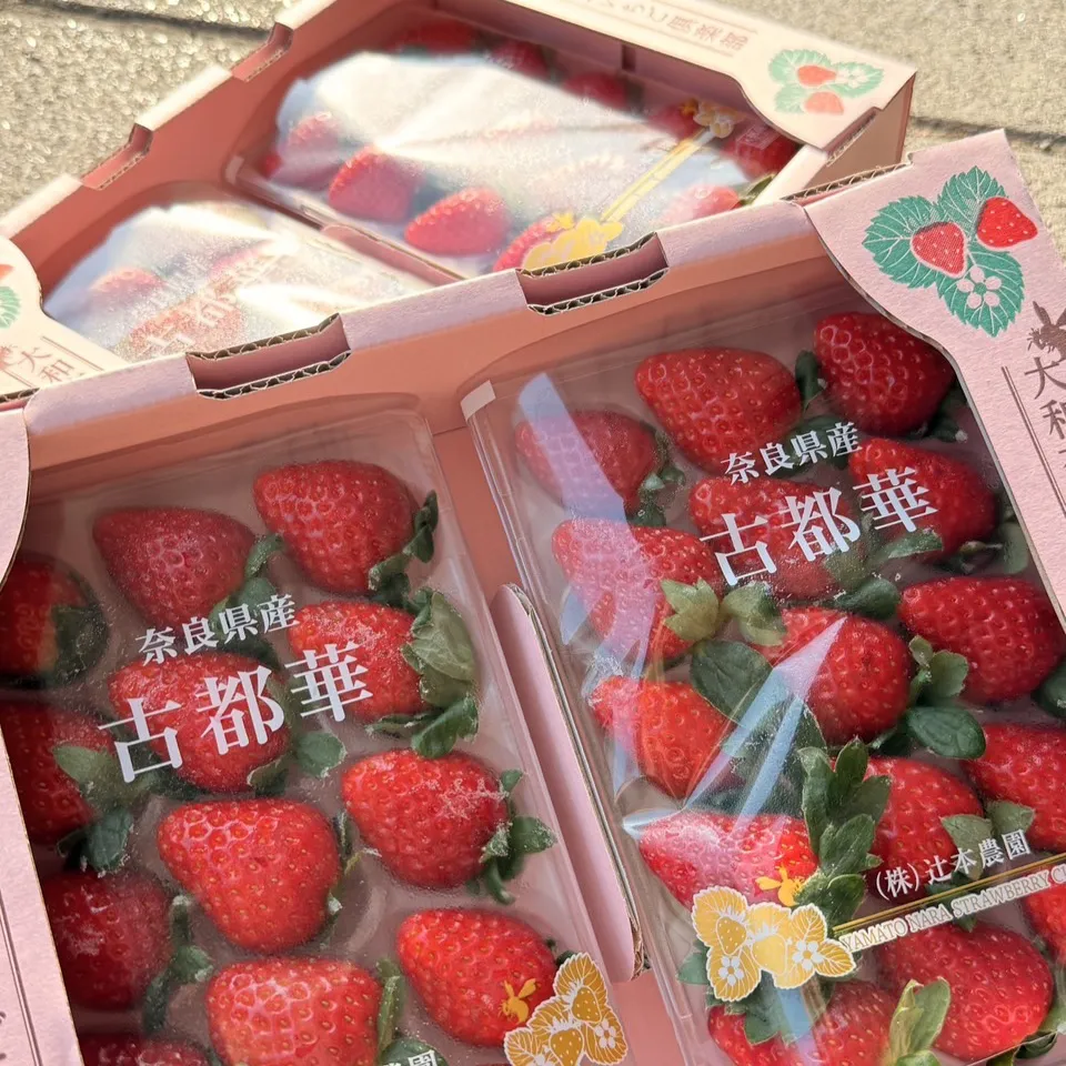 日本 古都華草莓