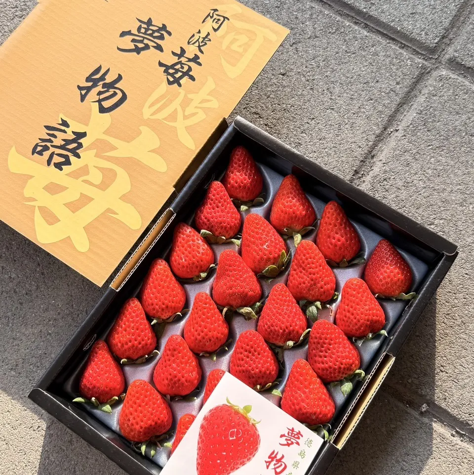 日本 德島阿波莓紅臉頰草莓
