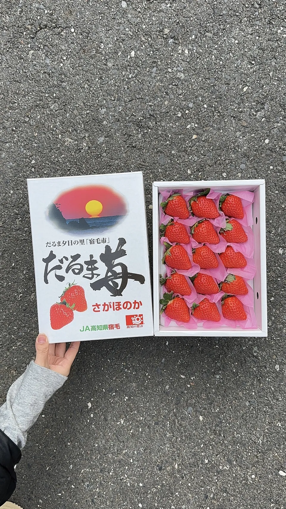 高知縣 愛心達摩草莓