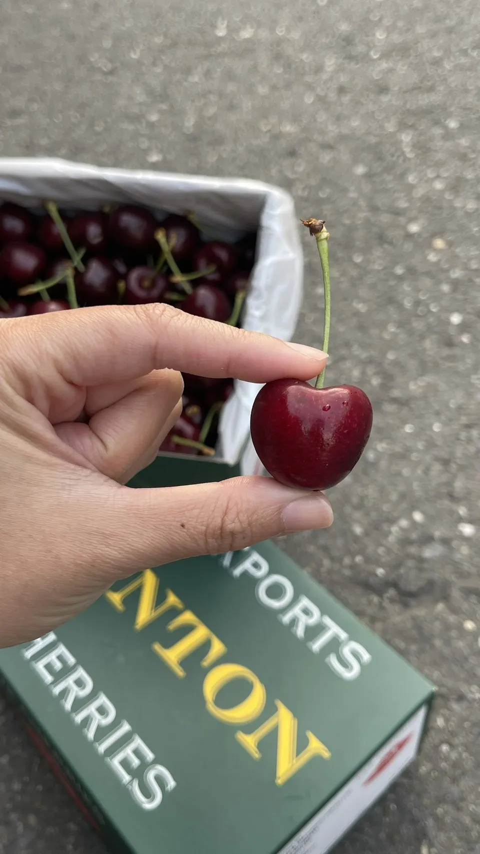 紐西蘭 大嘴巴櫻桃