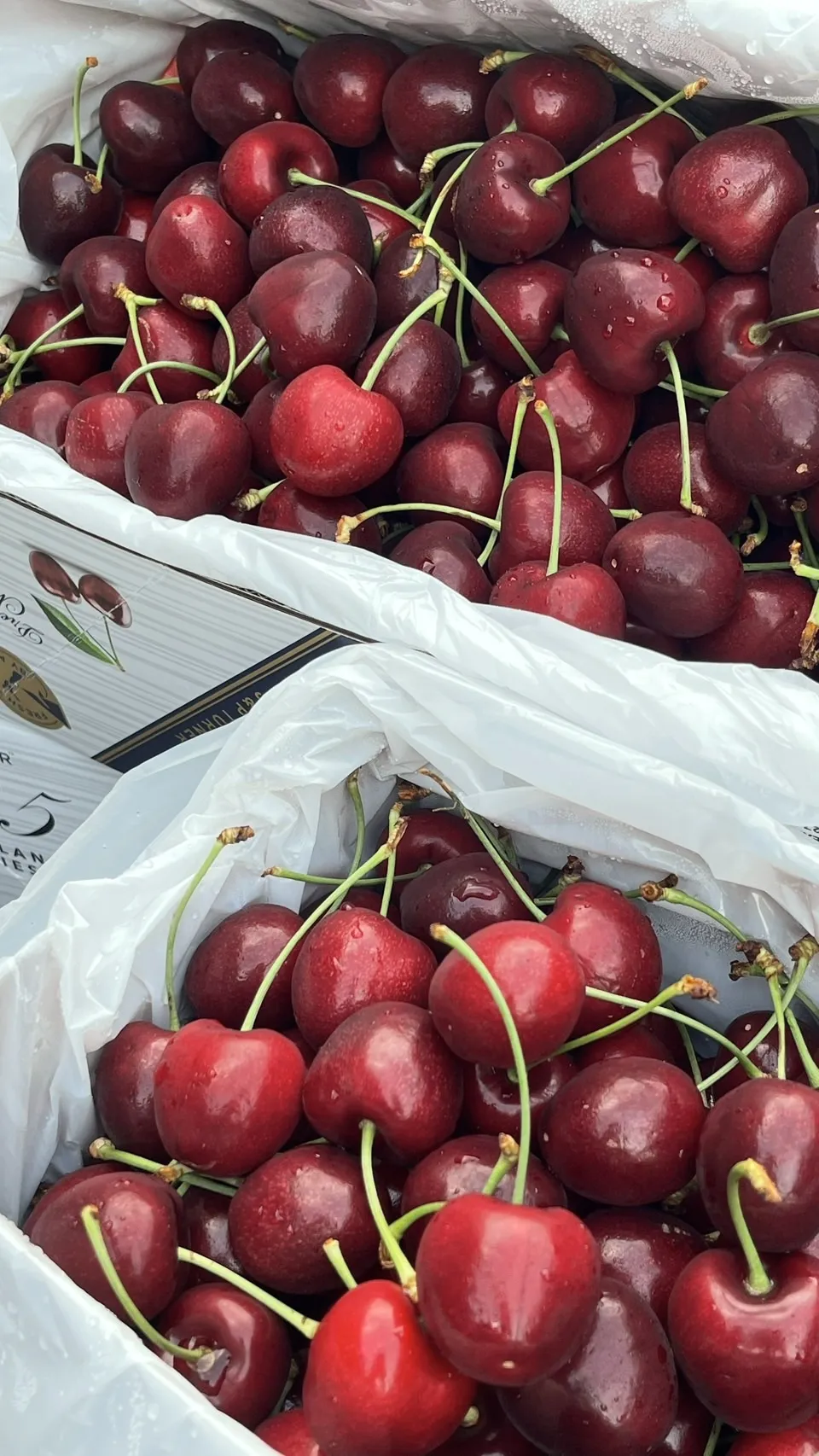 紐西蘭 1885空運櫻桃