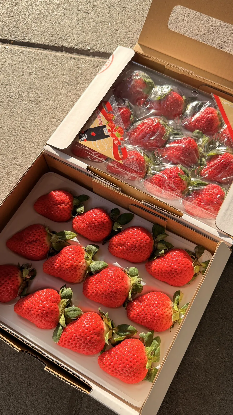 熊本 橘池小糖蜜草莓禮盒