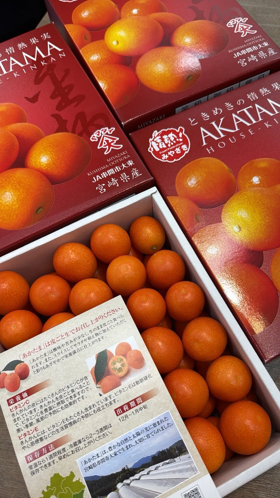 日本 宮崎縣赤金柑禮盒