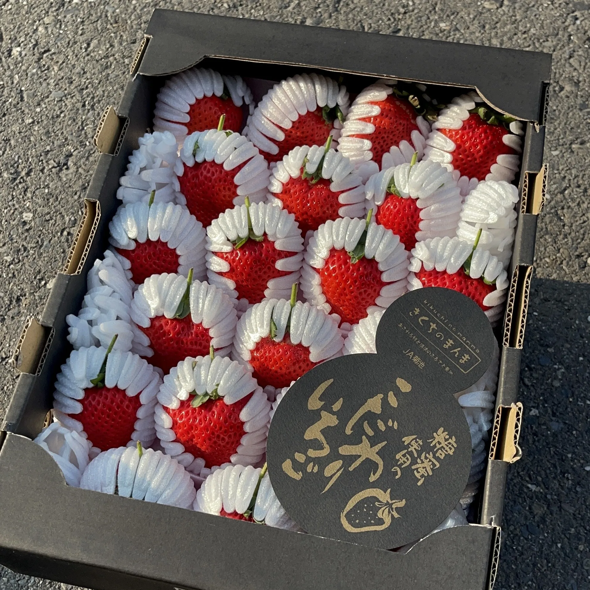 日本菊池黑盒糖蜜草莓
