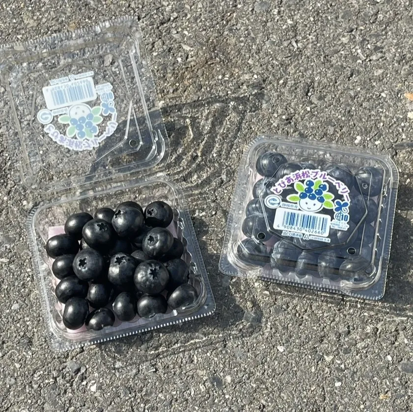 日本靜岡松浜藍莓