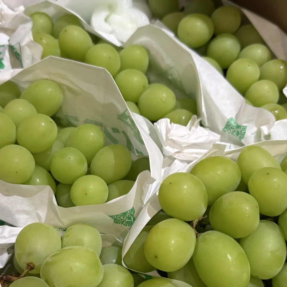 日本山梨縣笛吹麝香葡萄