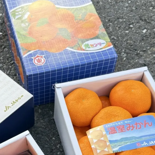 日本佐賀縣 東蜜柑禮盒