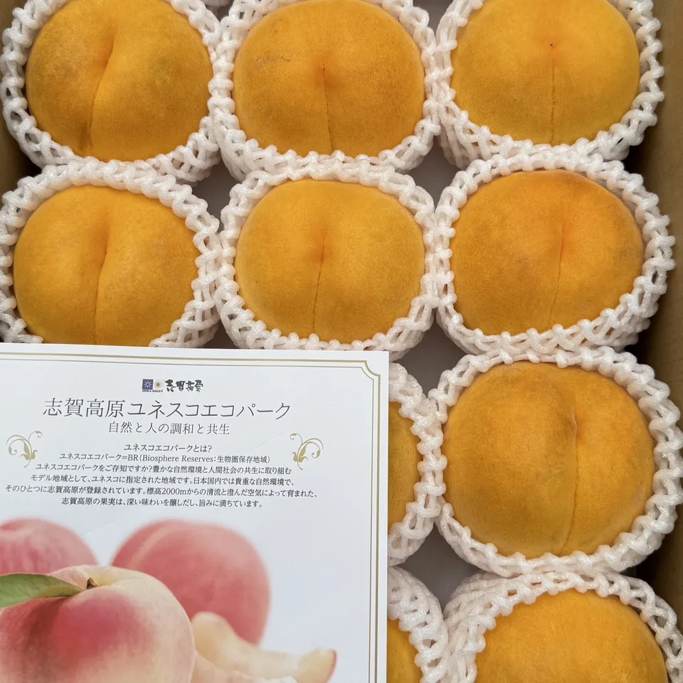 長野志賀高原黃金桃