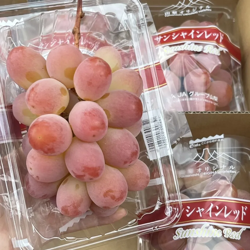 山梨縣陽光紅麝香葡萄PE盒