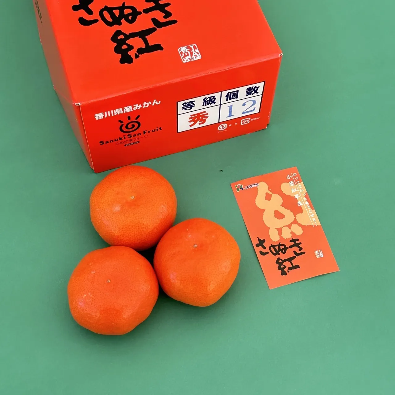 香川縣小原紅早生紅蜜柑