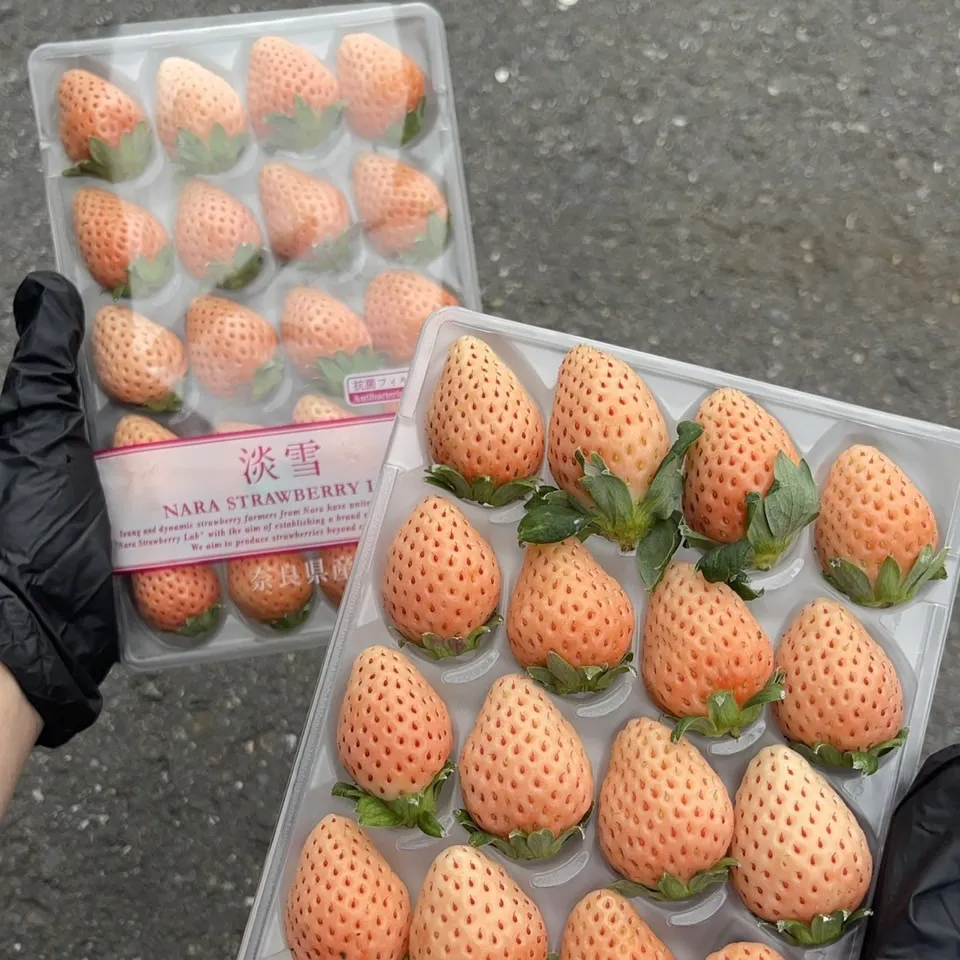 日本奈良縣淡雪草莓