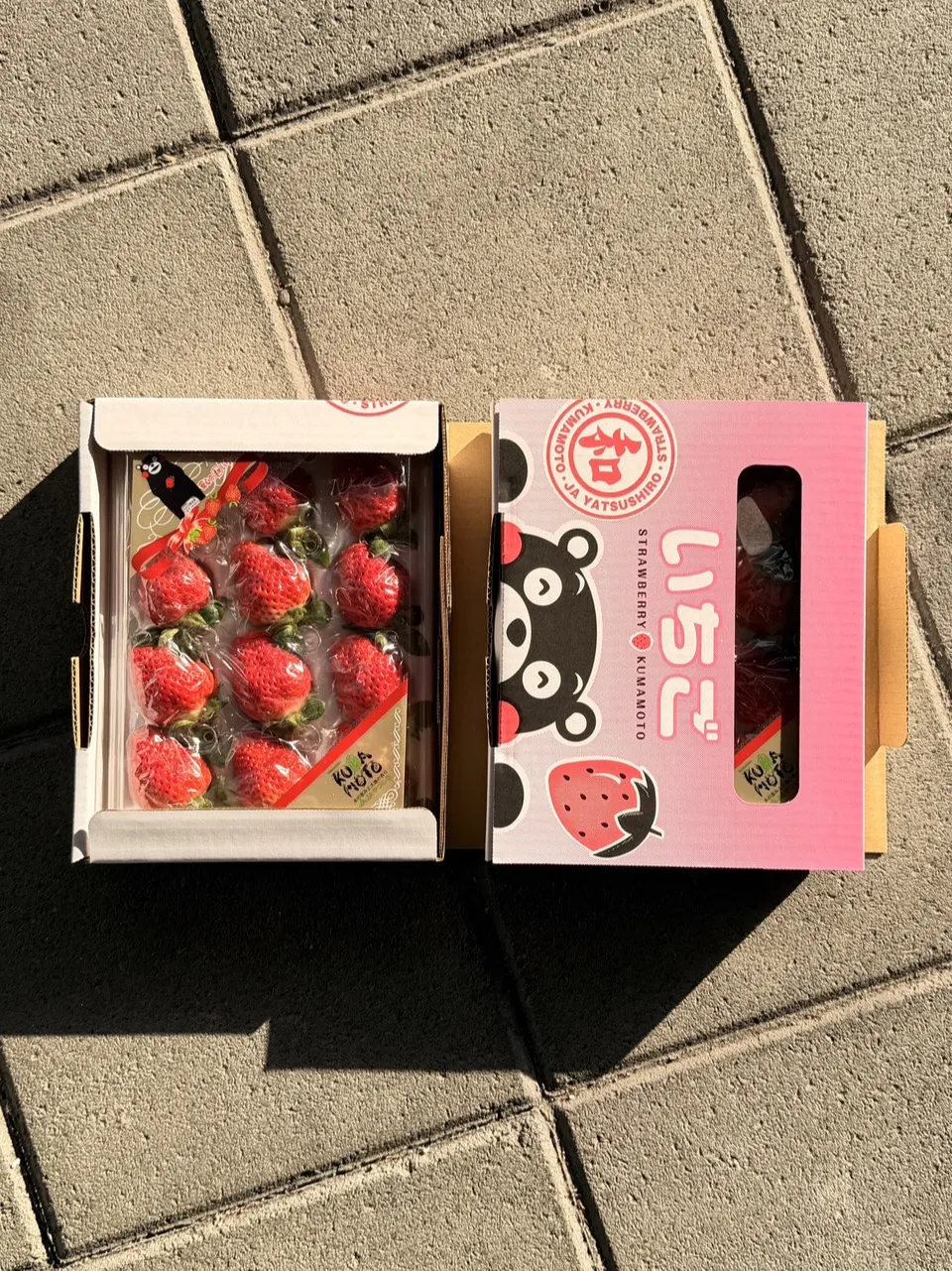 熊本 橘池小糖蜜草莓禮盒