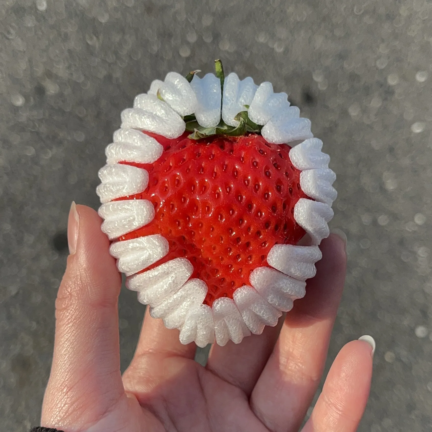 日本菊池黑盒糖蜜草莓