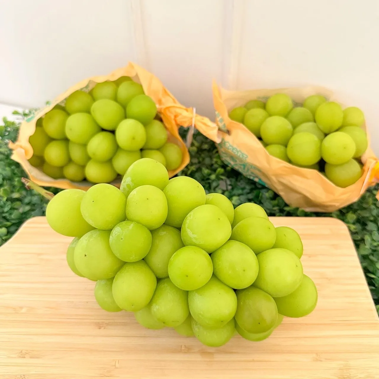 長野縣麝香葡萄