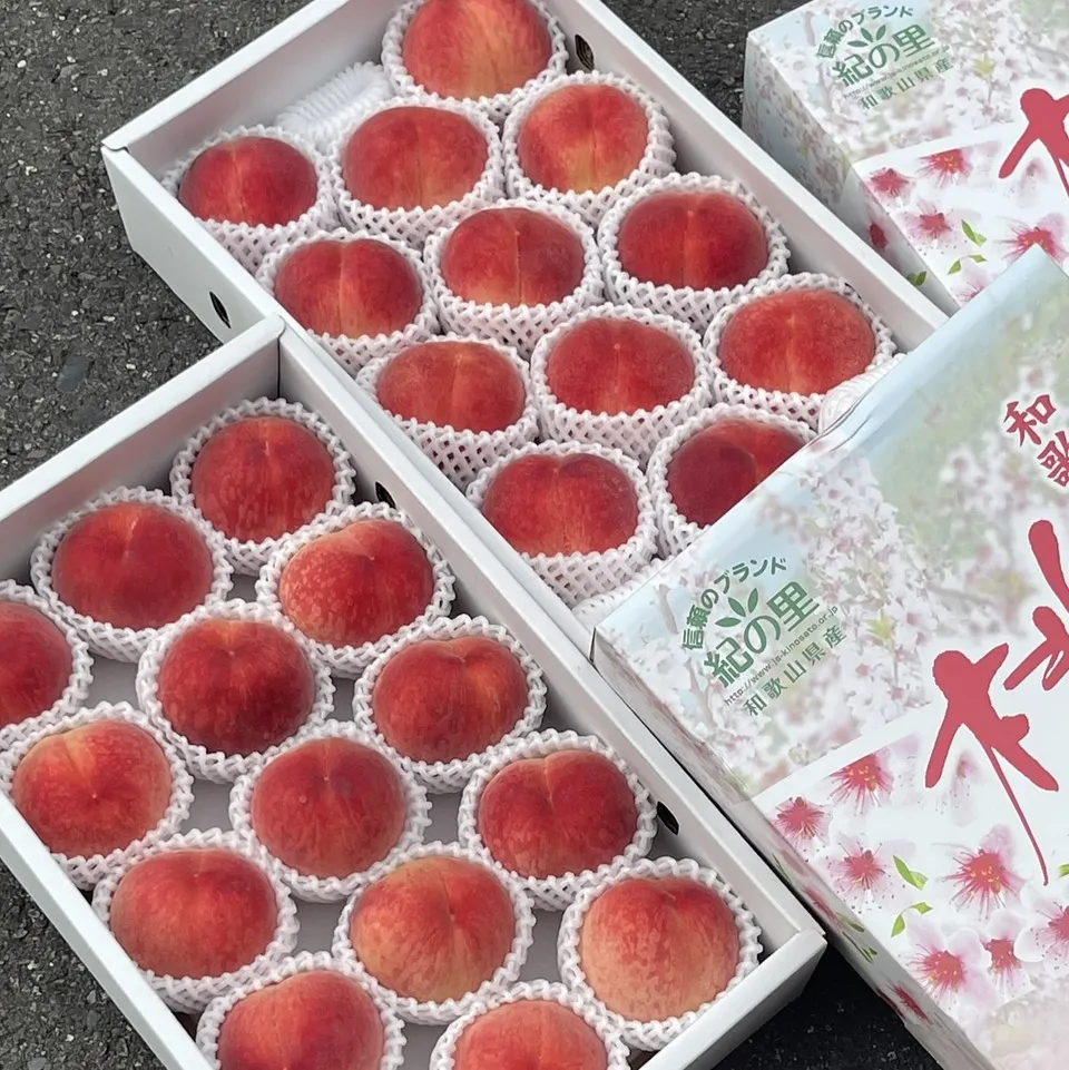 日本和歌山水蜜桃