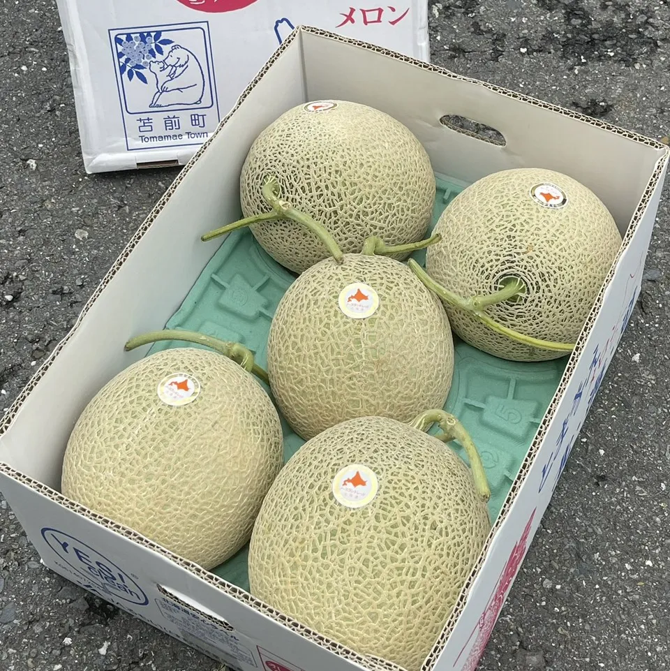 北海道苫前町赤肉哈密瓜