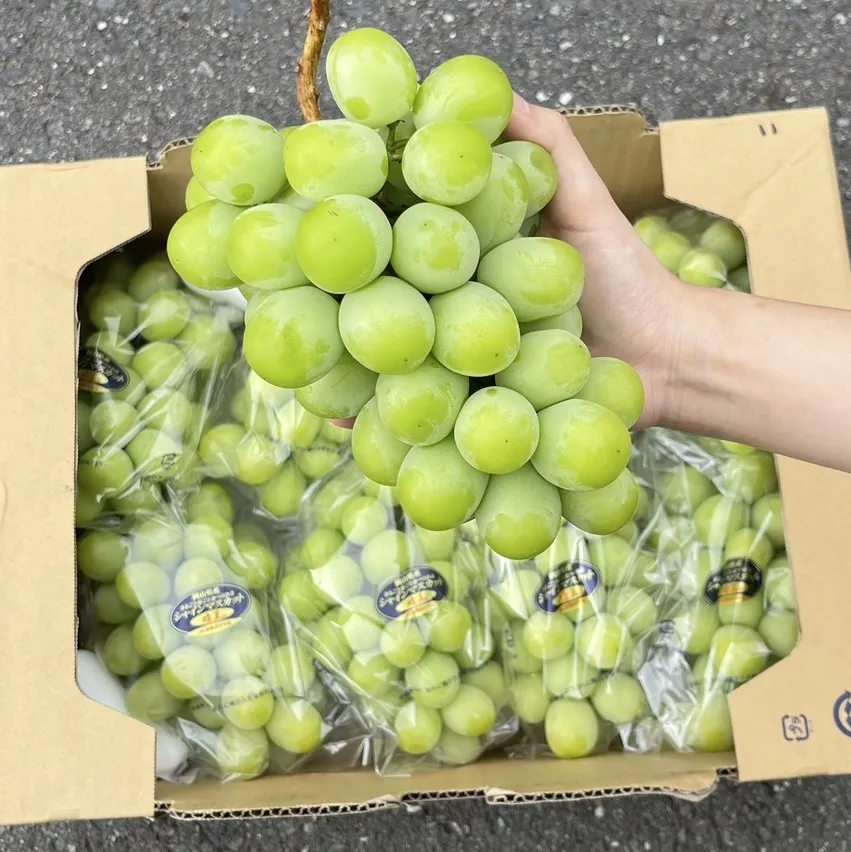 岡山晴王麝香葡萄