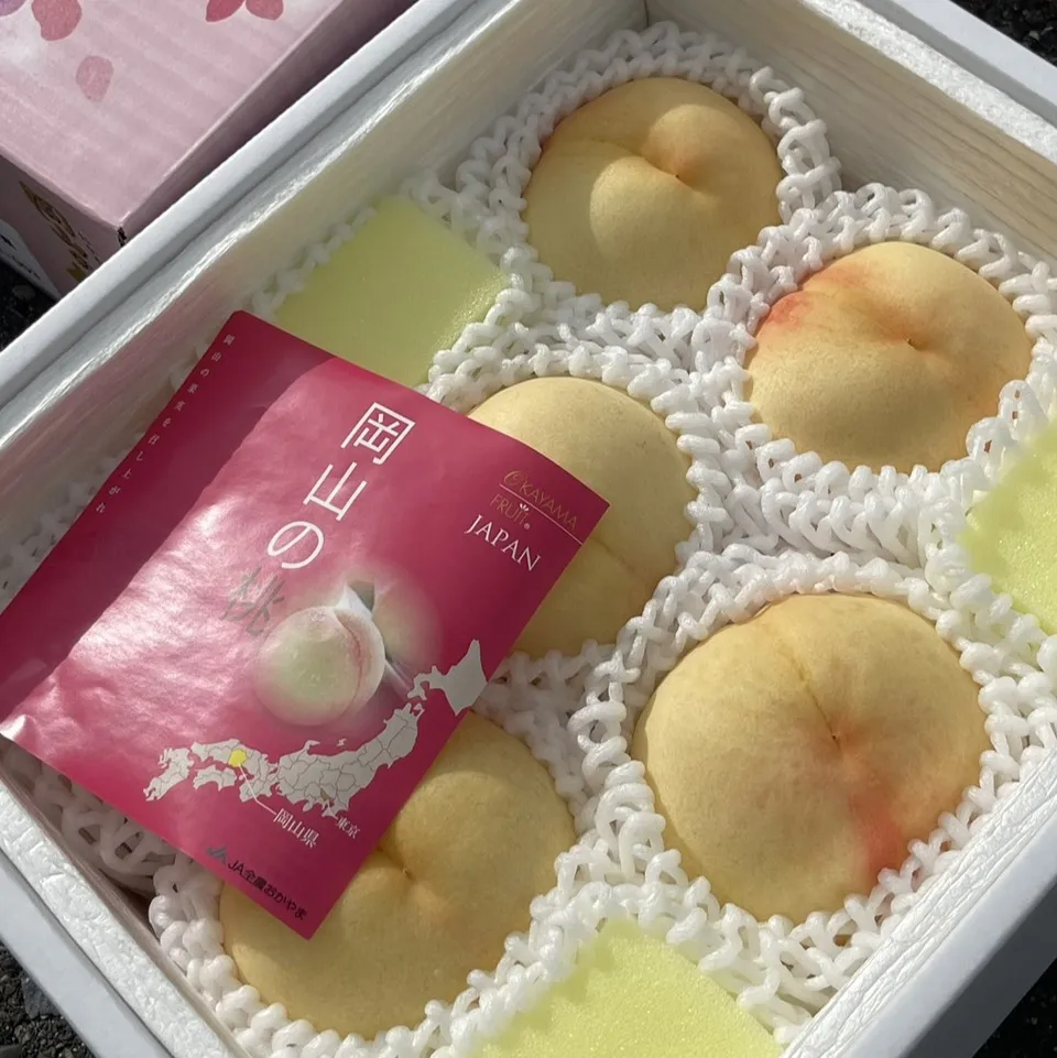 日本岡山縣清水白桃