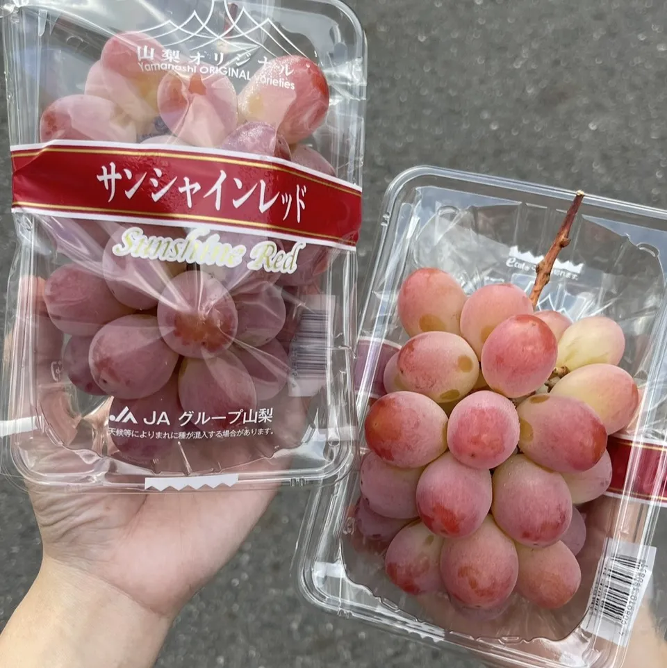 山梨縣陽光紅麝香葡萄PE盒