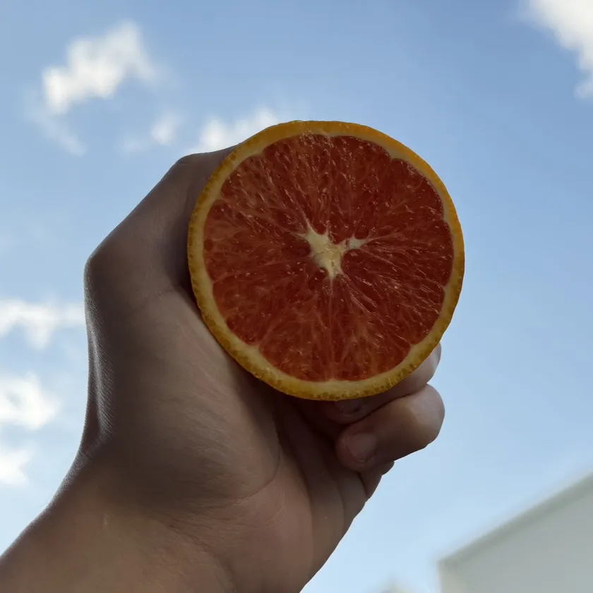 澳洲卡拉卡拉血橙