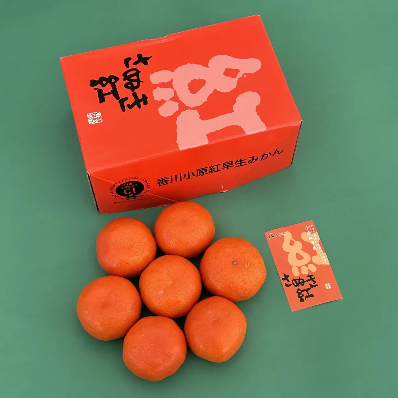 香川縣小原紅早生紅蜜柑