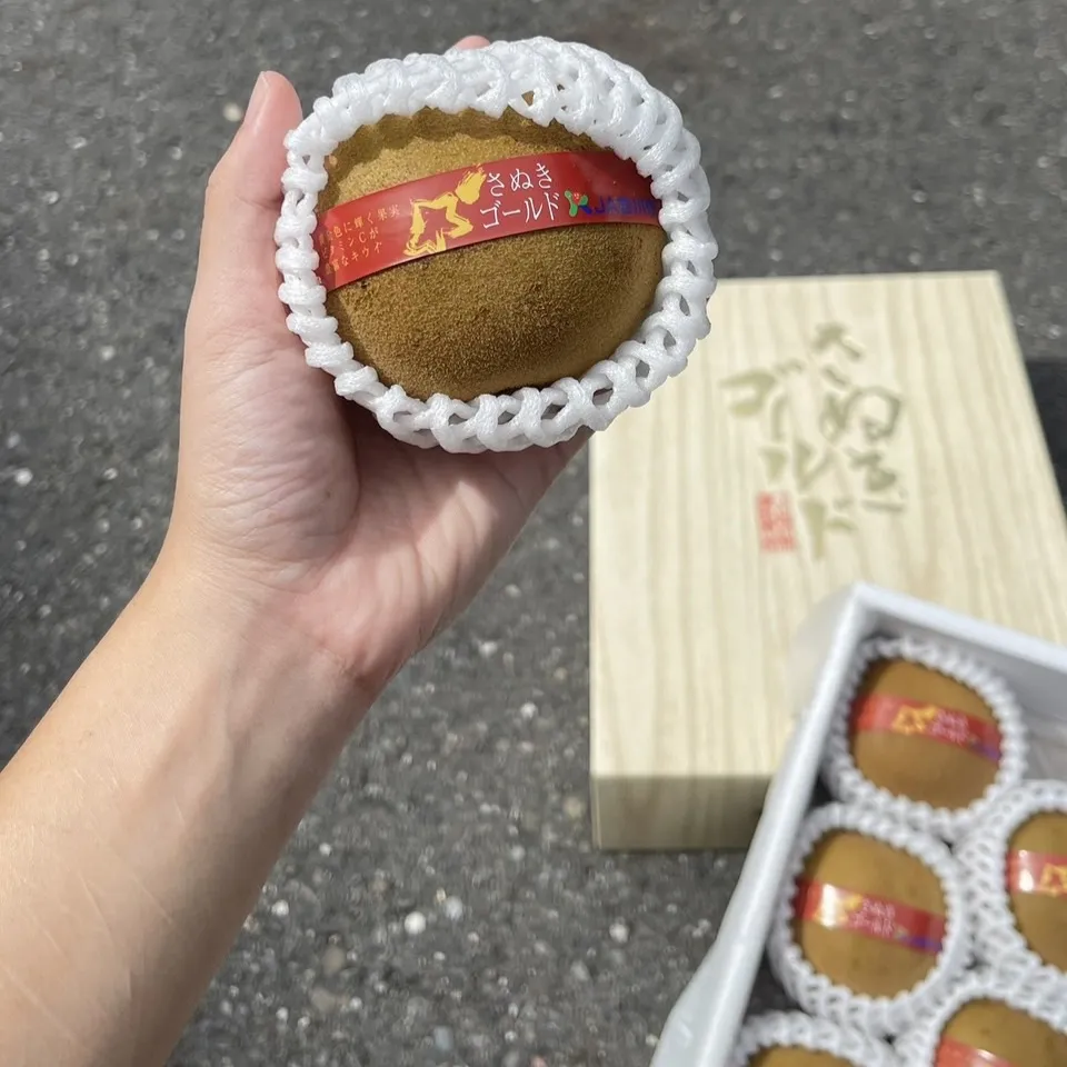 日本 香川縣 黃金奇異果禮盒