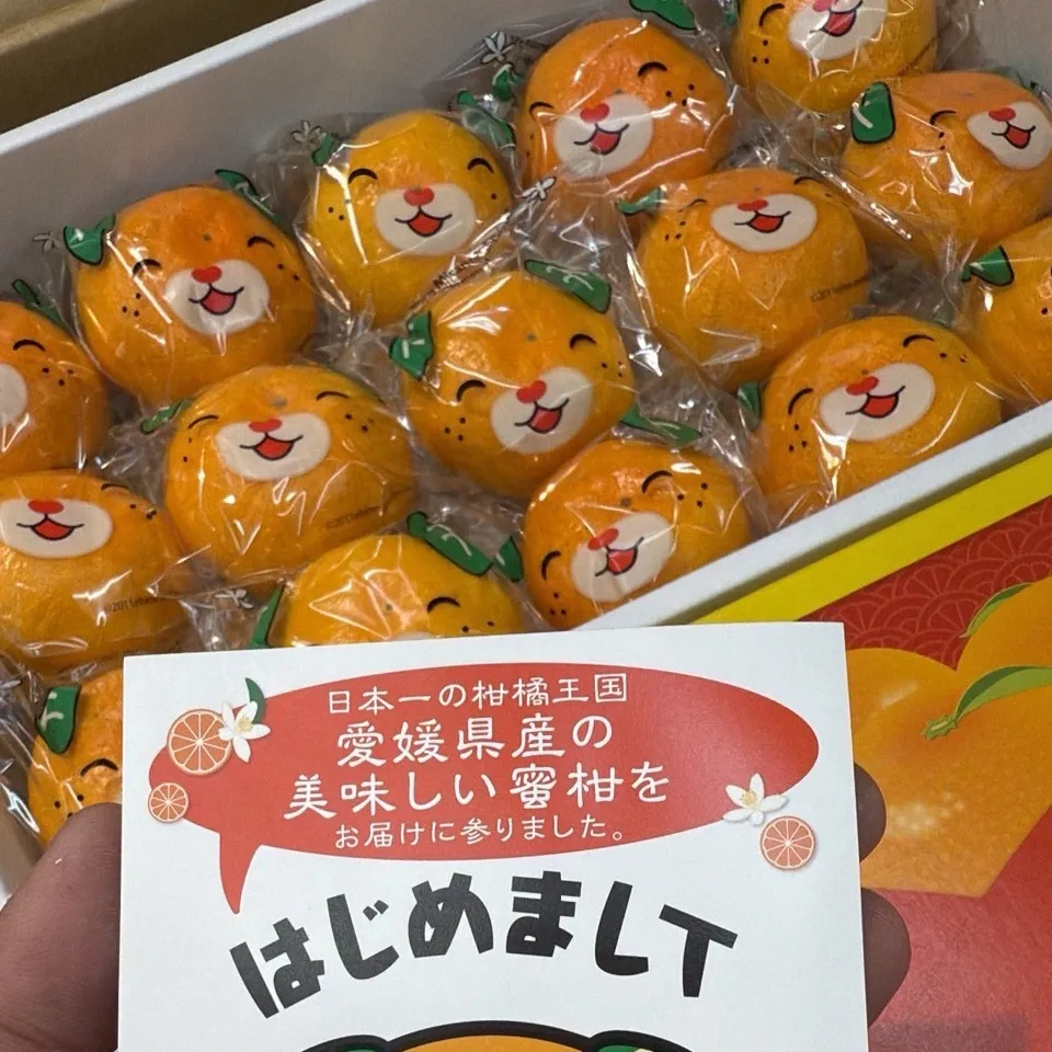 愛媛縣 狗狗蜜柑禮盒
