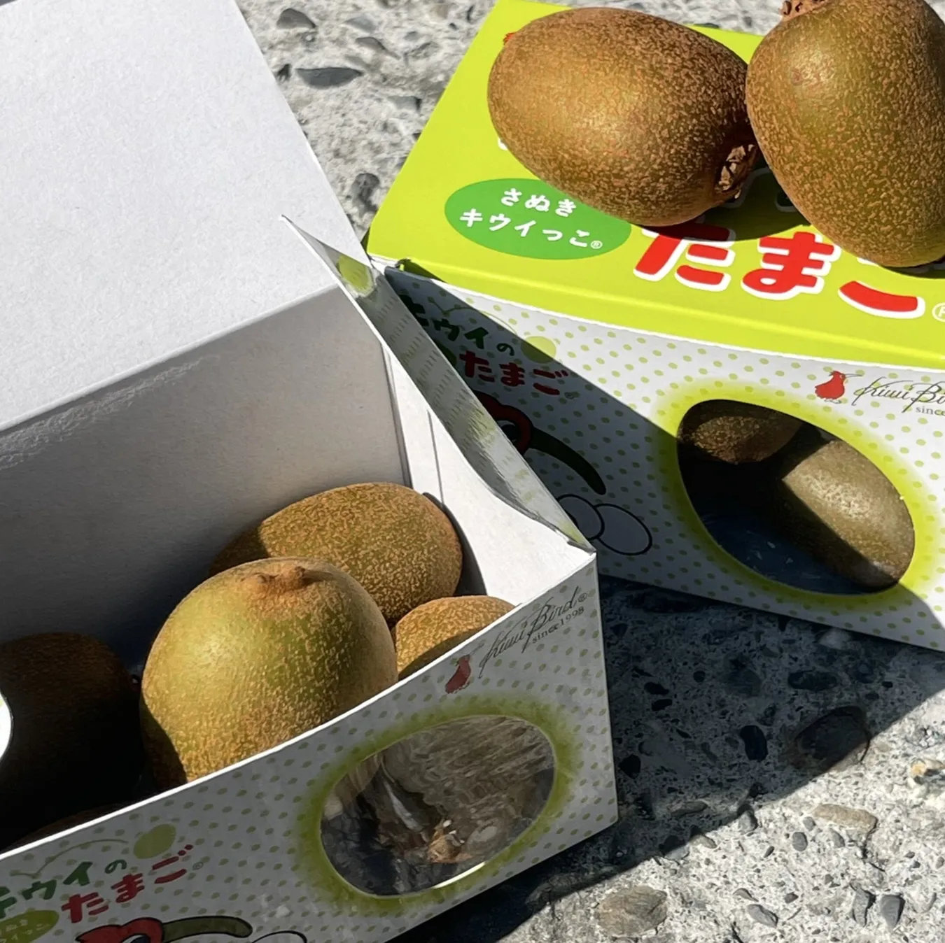 日本香川縣 綠肉奇異果