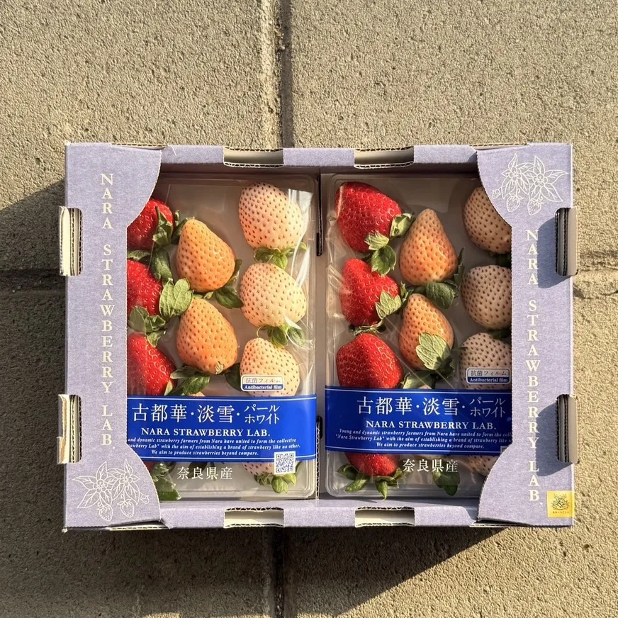 日本 奈良縣三色草莓(古都華+淡雪+白珍珠)
