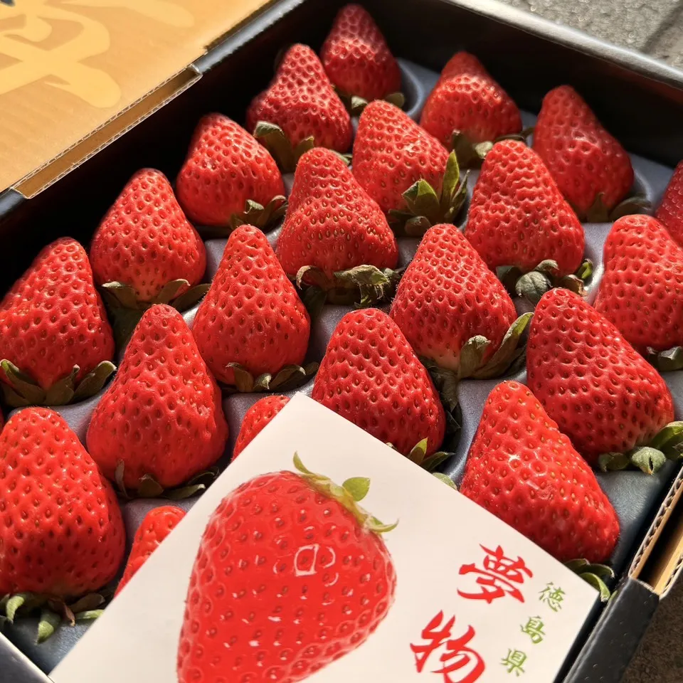 日本 德島阿波莓紅臉頰草莓