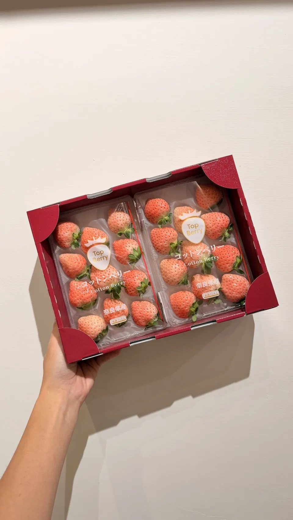 日本 奈良縣棉花糖草莓