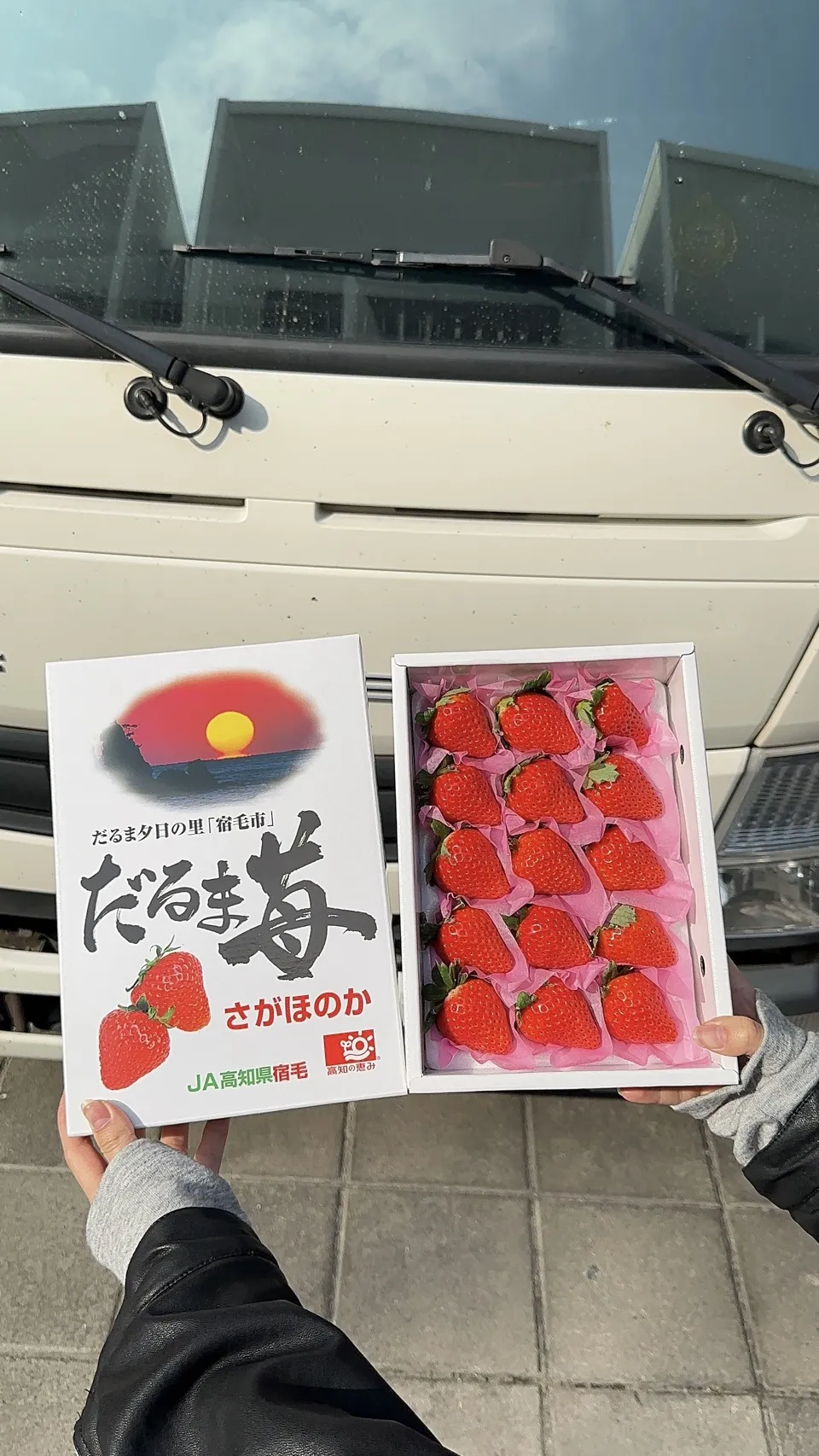 高知縣 愛心達摩草莓