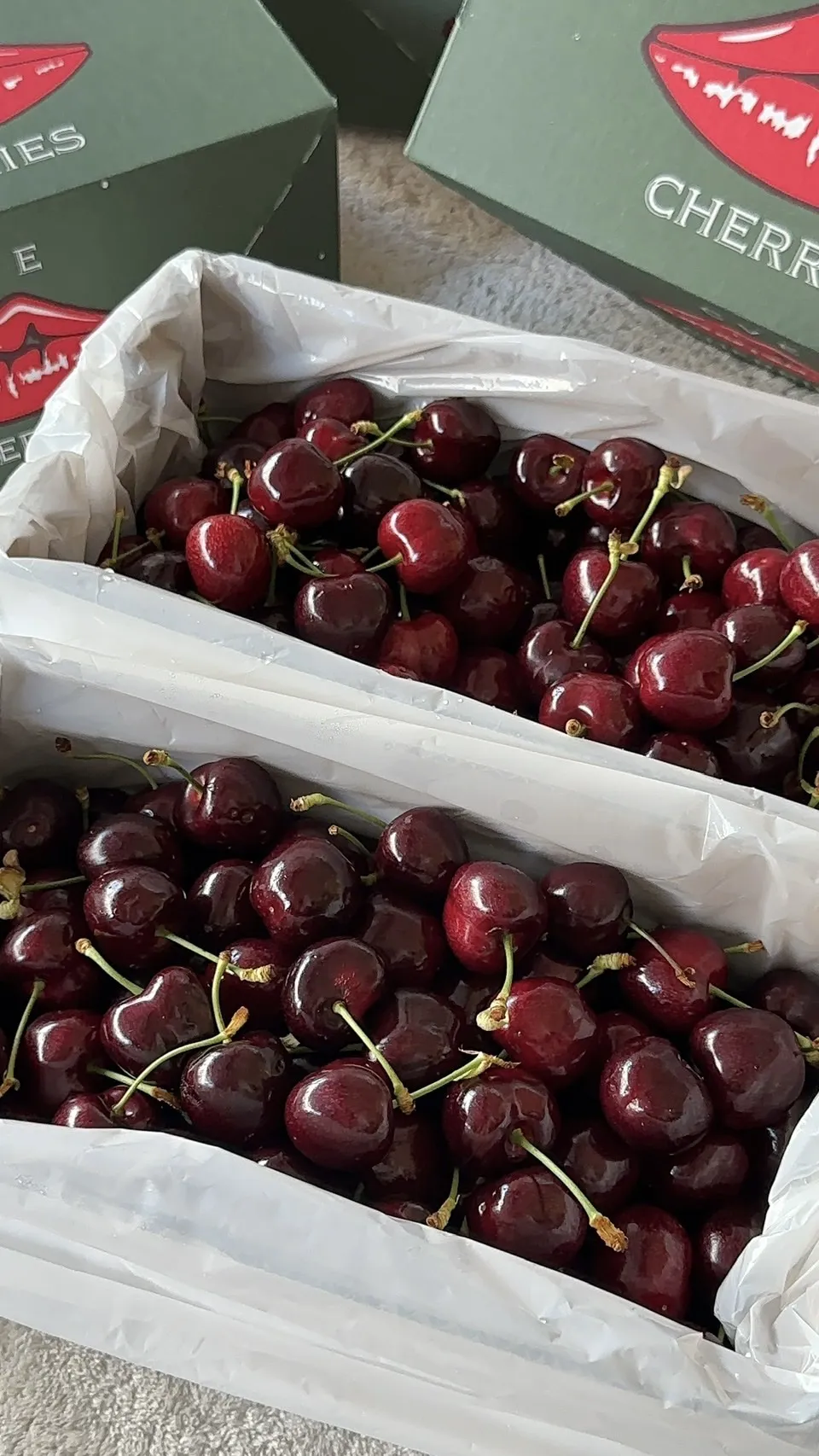 紐西蘭 大嘴巴櫻桃