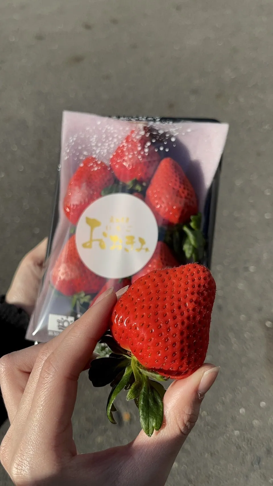 高知縣 大妃美草莓