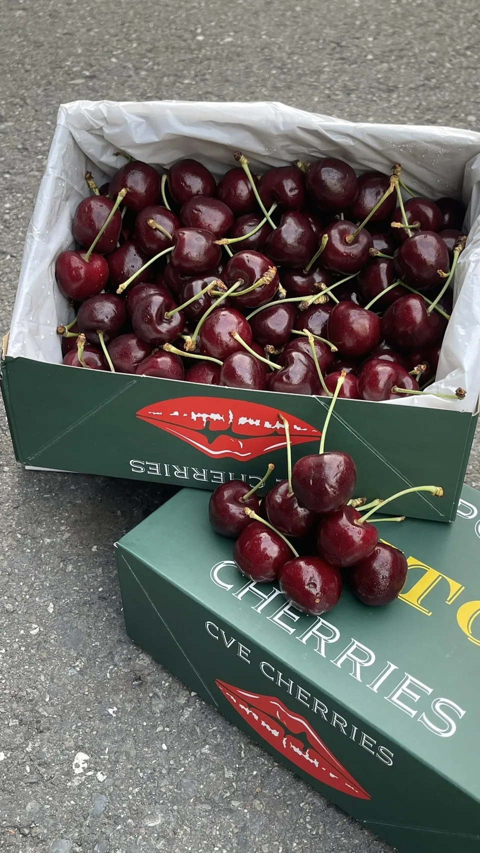 紐西蘭 大嘴巴櫻桃