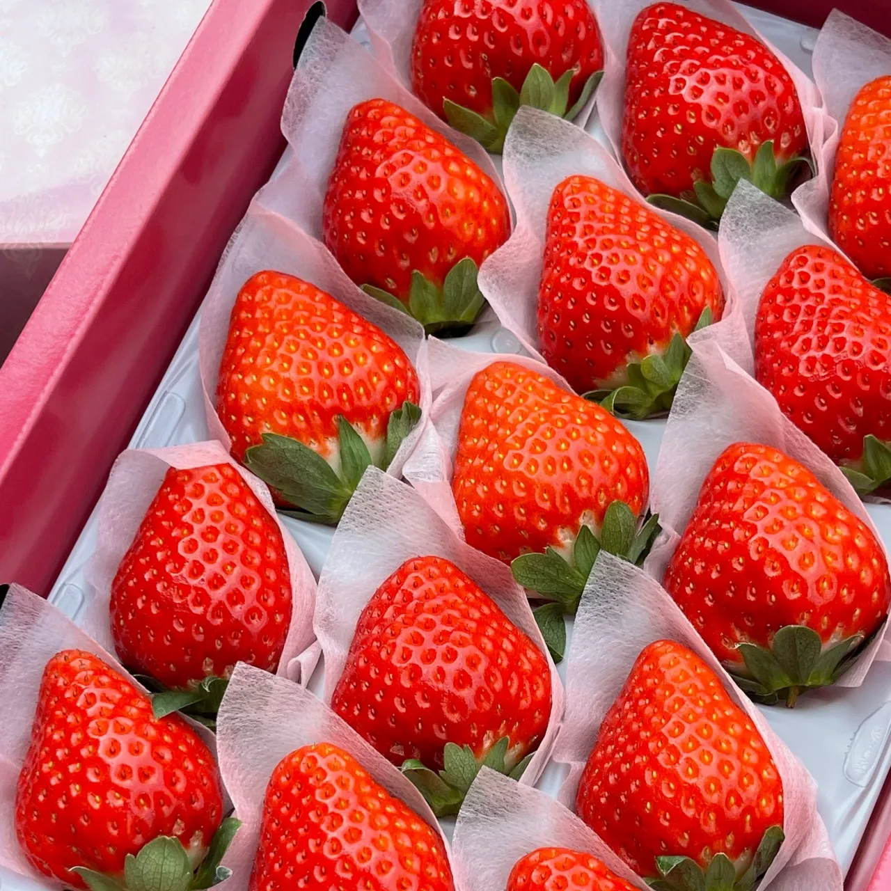 岐阜縣 美濃娘草莓禮盒