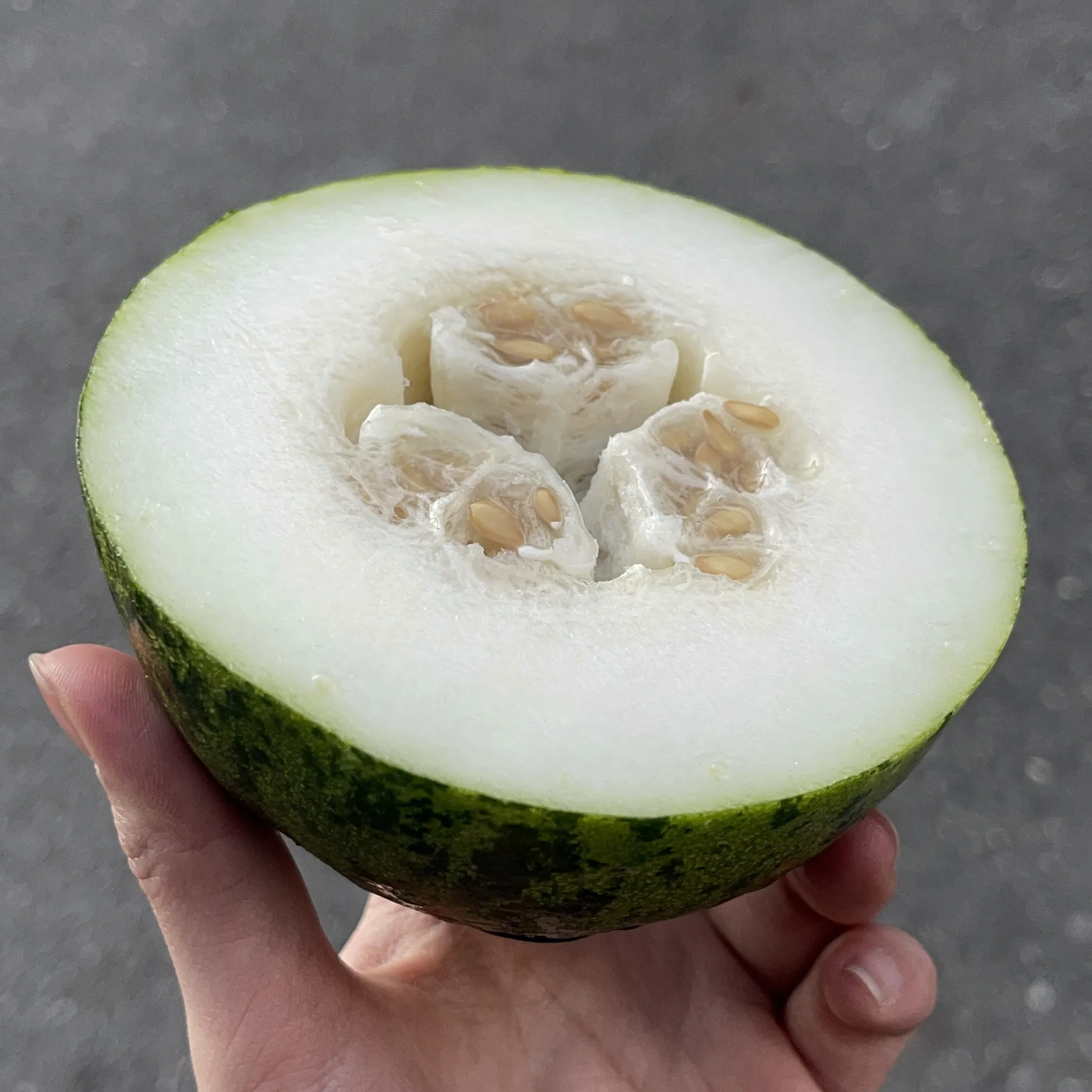 日本長崎縣木瓜蜜瓜