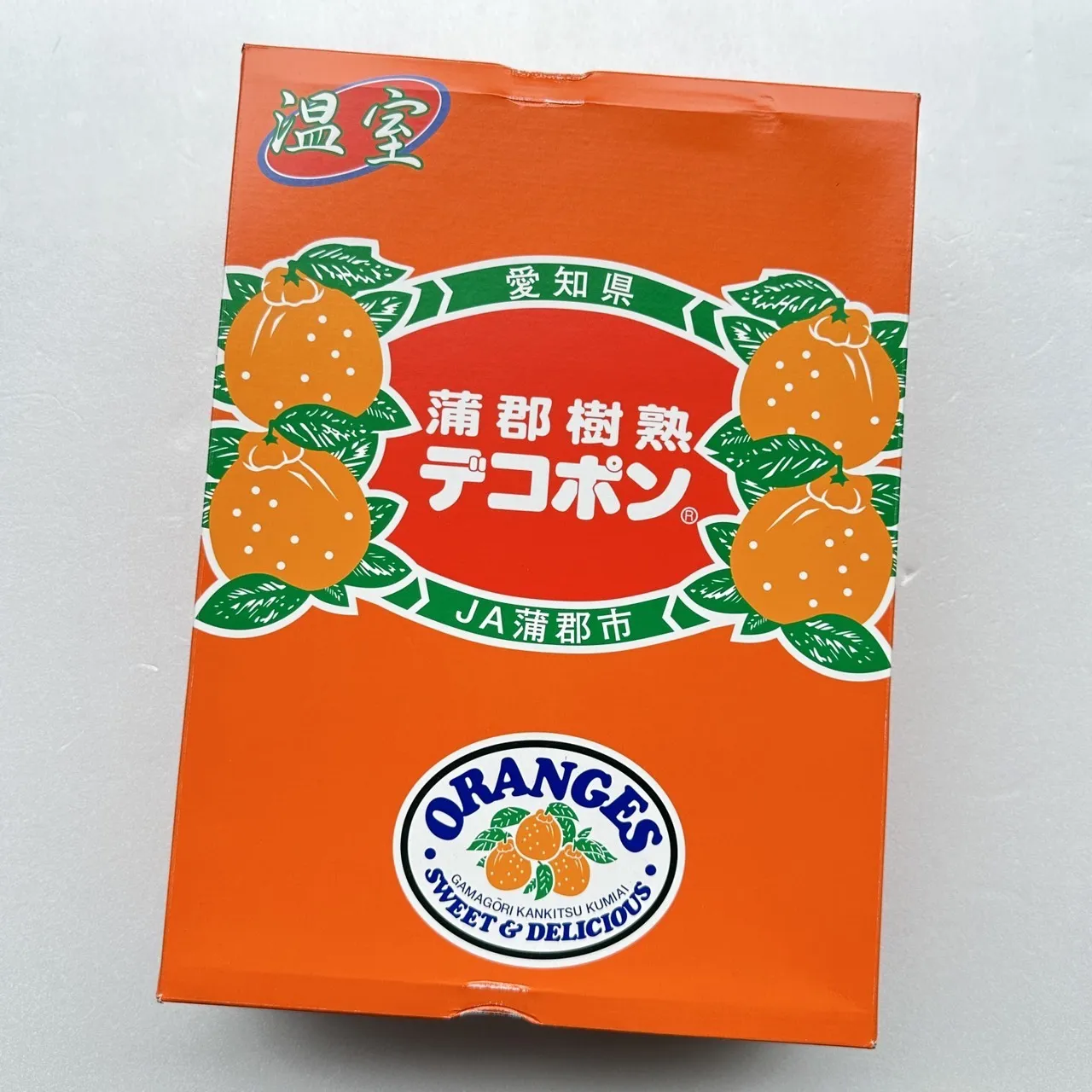 愛知縣不知火凸柑