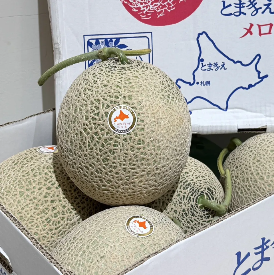 北海道苫前町赤肉哈密瓜
