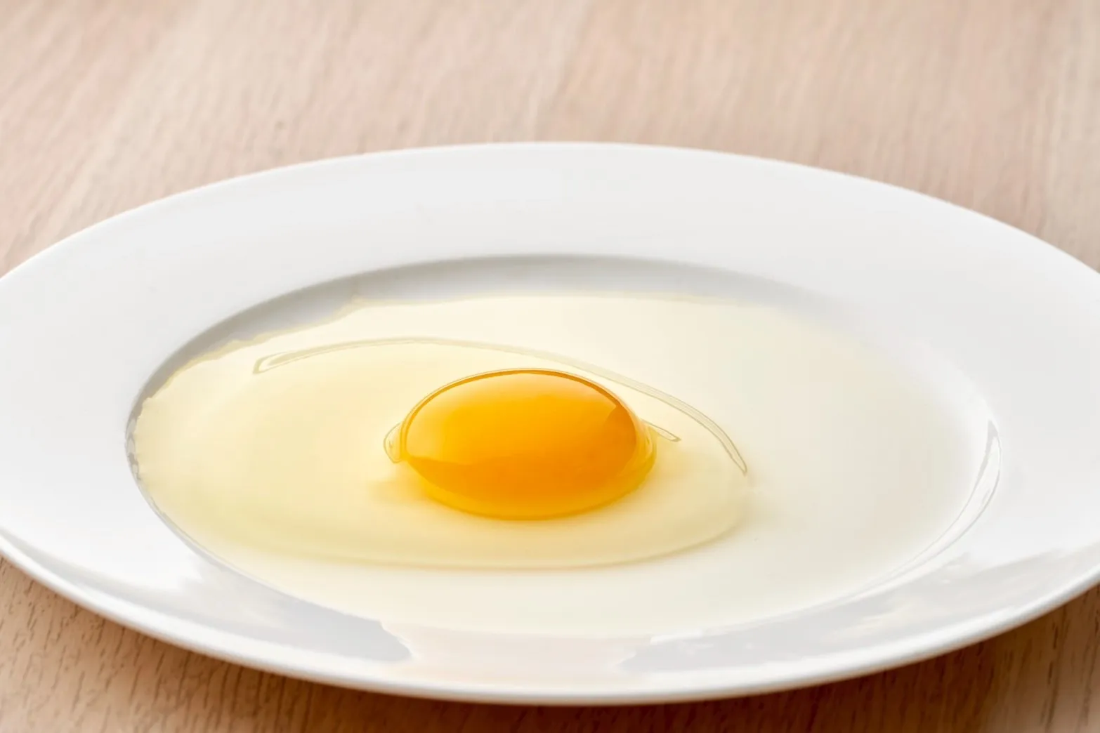 【日見紅殼蛋】 全台第一家無塵室飼養