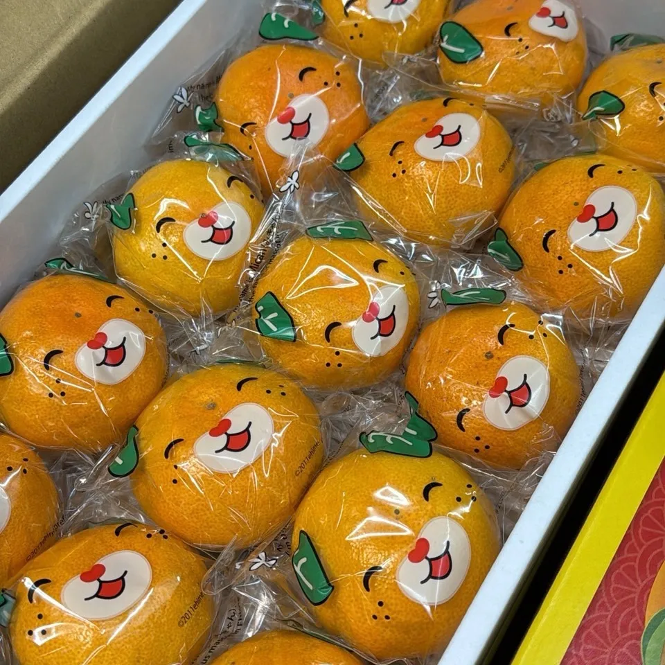 愛媛縣 狗狗蜜柑禮盒